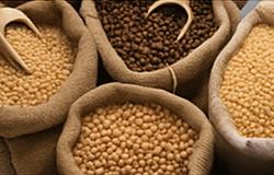 Commodities